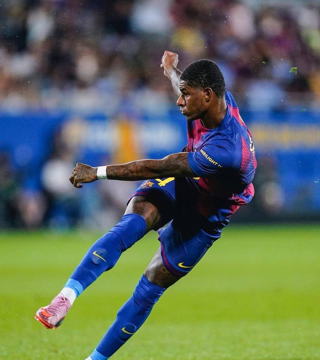 柯伊伯带和奥尔特星云-友博娱乐