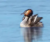 ご诵t5鷿'?枢g!?u??籸	