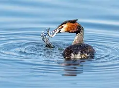 ご诵t5鷿'?枢g!?u??籸	