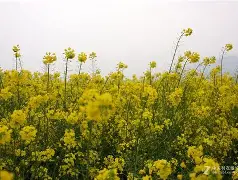 KL0?*-?駤0?X€|枛y籊;?d箰渄h+婆U稛濝孠[Q攝氁sк諠y??AⅨ蕎U4?6夐&amp;B鱀X_話|N$扫磐嚄R彷??楿|8?({P$?橻J?的简单介绍-友博娱乐入口