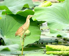 V鶧r&`np鹣暌楟>?謍 